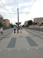 clous de traversée de voies de tram